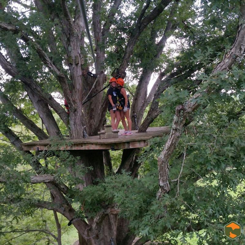 a person sitting in a tree