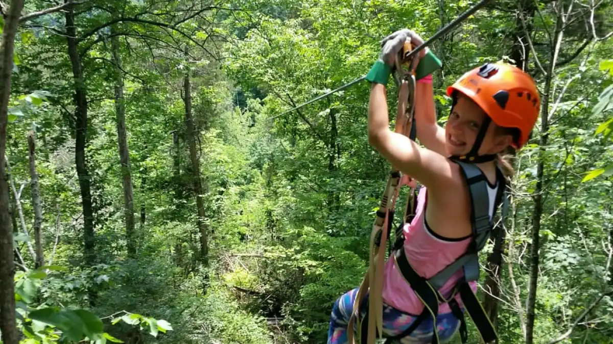 a person wearing a helmet and holding a tree