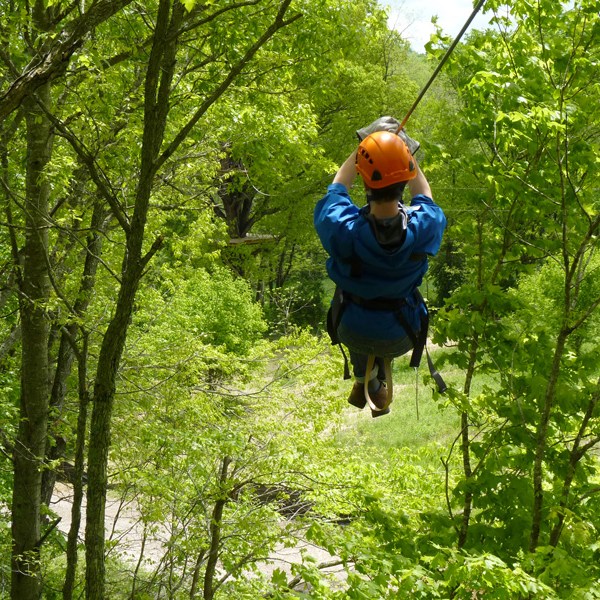 a person riding a horse in a forest