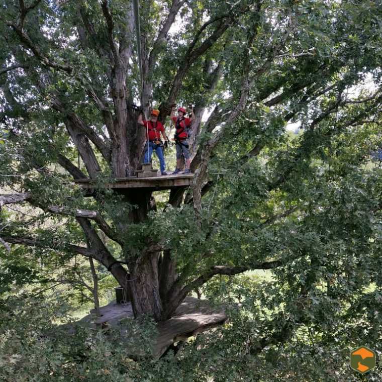 a traffic light sitting next to a tree