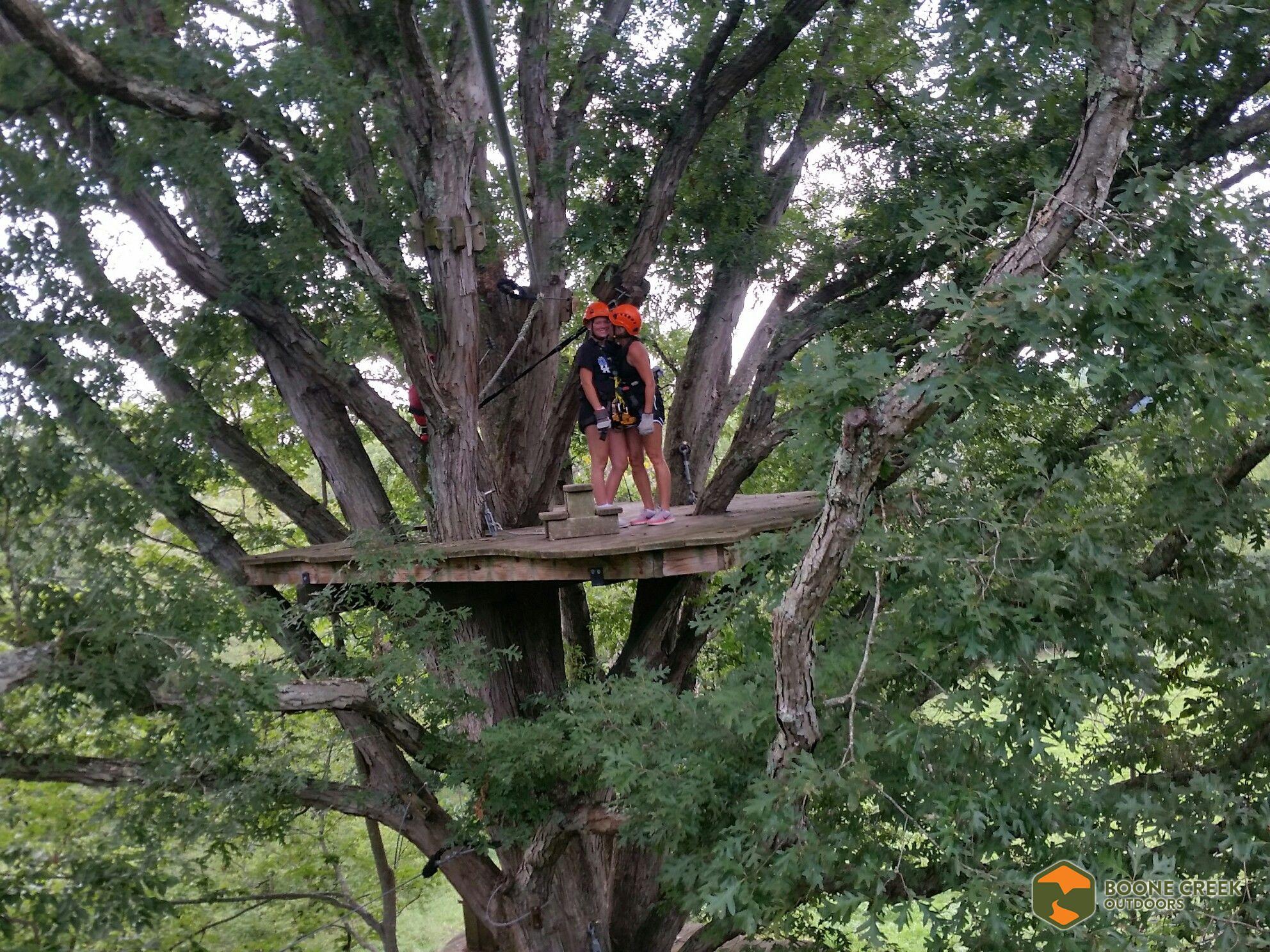 a person sitting in a tree