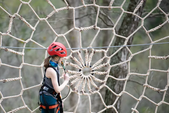 a woman sitting on a branch
