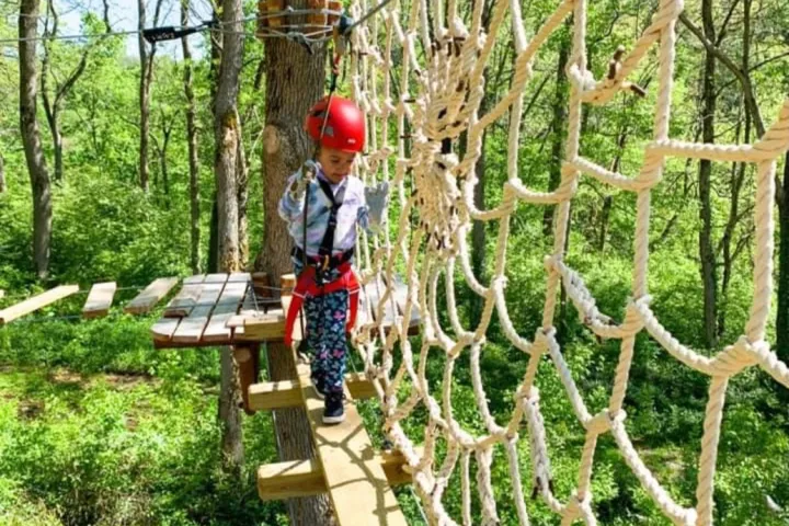 a wooden bench next to a tree