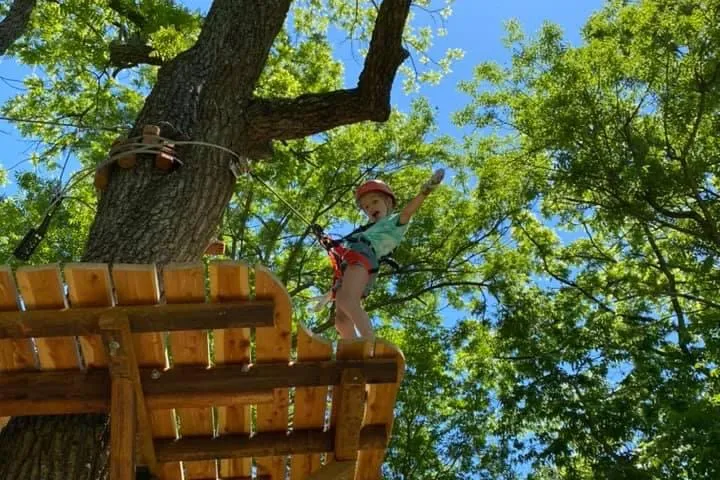 a wooden bench sitting next to a tree
