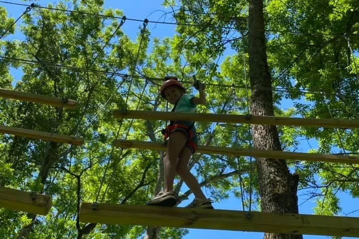 a person sitting in a tree